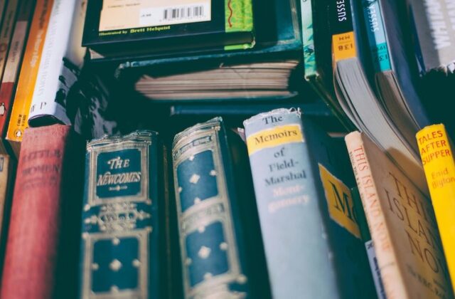 Used and vintage books awaiting sale on AbeBooks.