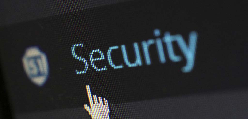 Bug bounty hunting