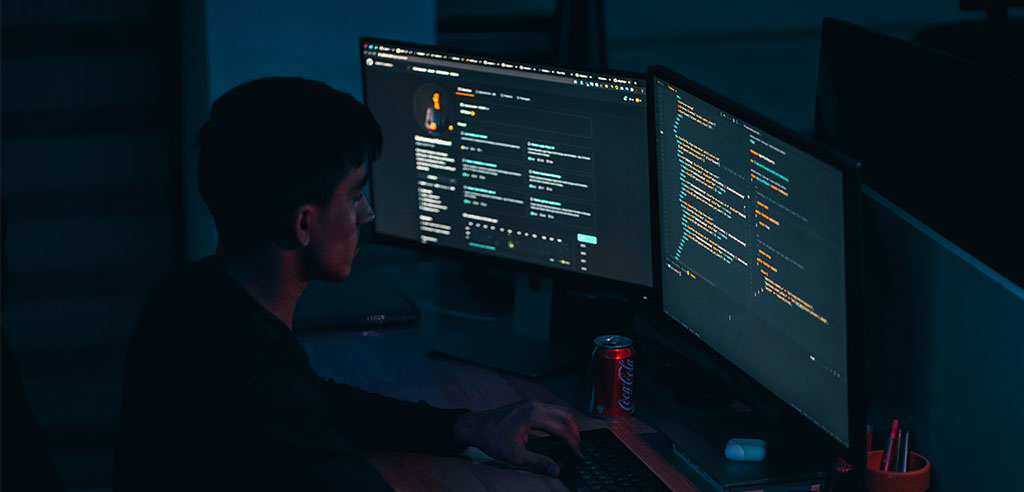Ethical hacking / penetration testing