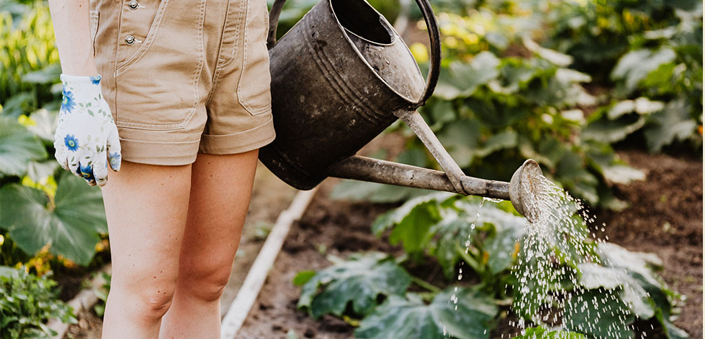 Horticulture