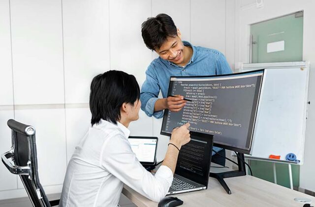 Software consultant helping another developer with a project.