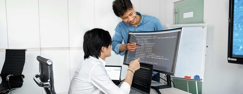 Software consultant helping another developer with a project.