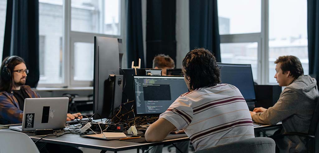 Software consulting