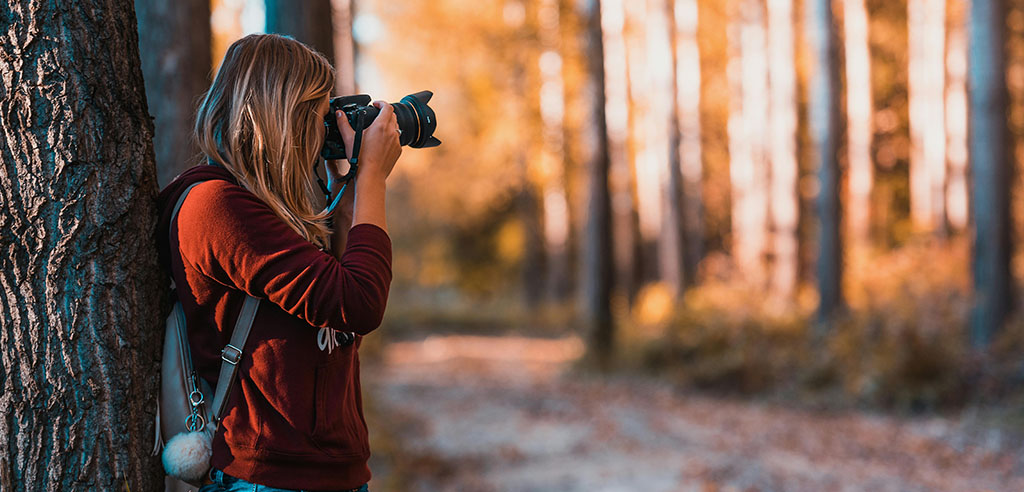 What do photographers do?
