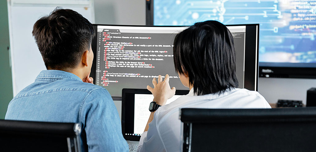 What does a software consultant do