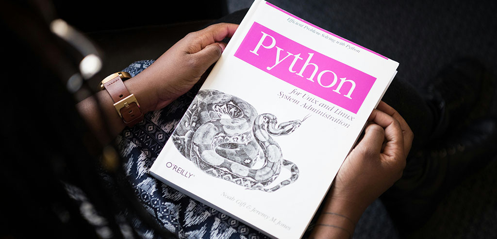 Who can become a software consultant