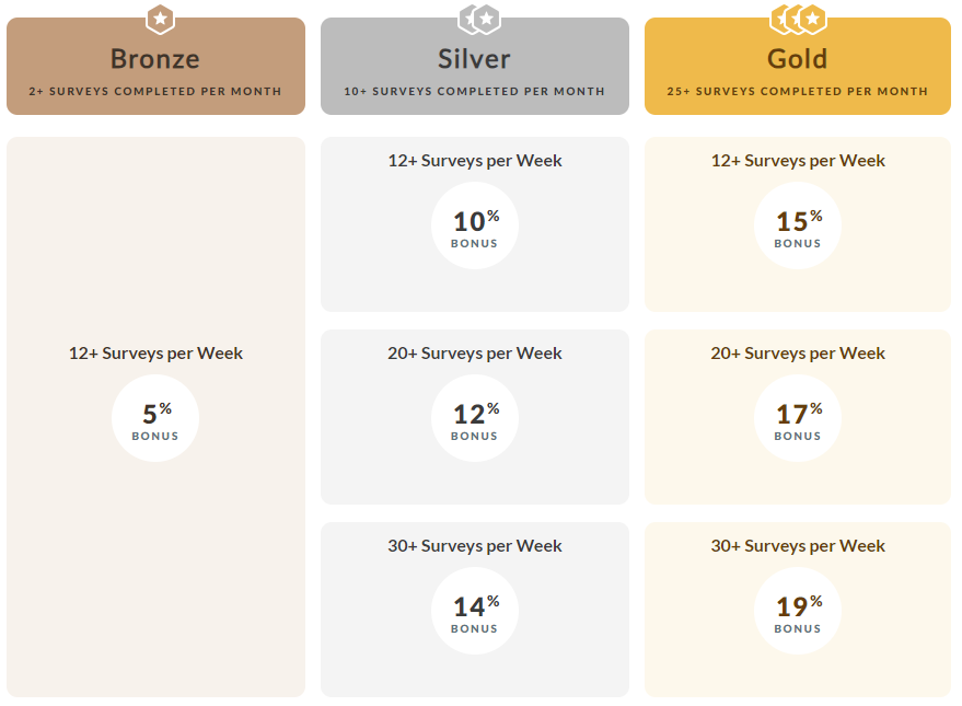 screenshot of branded surveys elite how it works