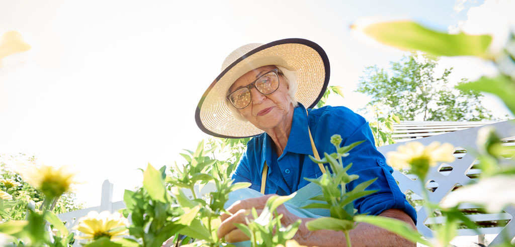 Older woman working in a garden