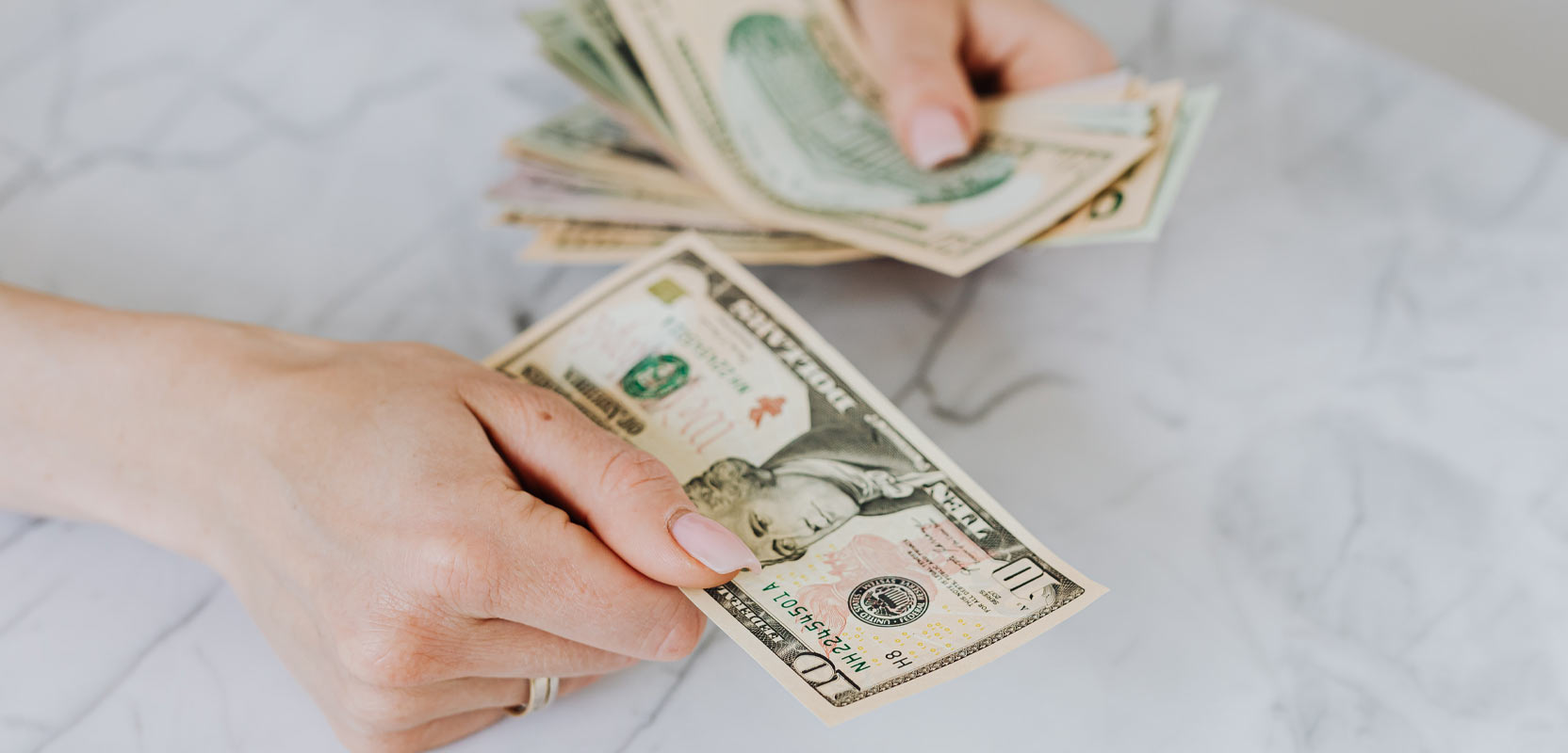 Closeup of freelance dog walker holding dollar bills