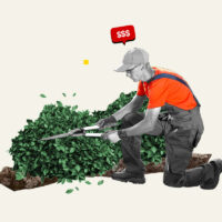 Professional landscaper trimming a hedge.
