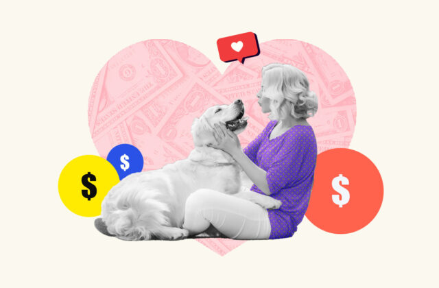 Pet sitter playing with dog