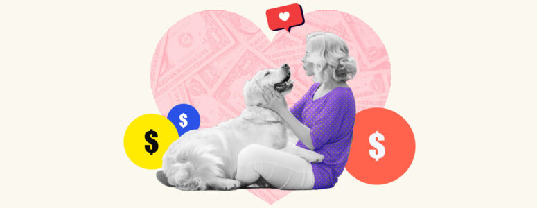 Pet sitter playing with dog