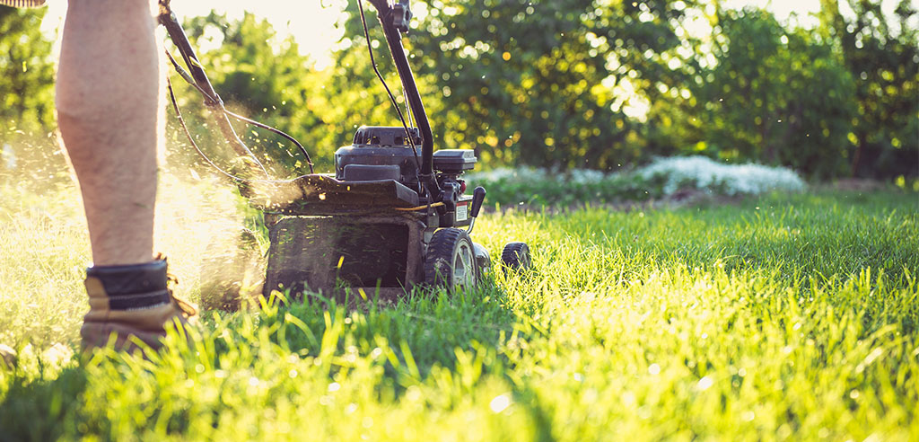 landscaping equipment