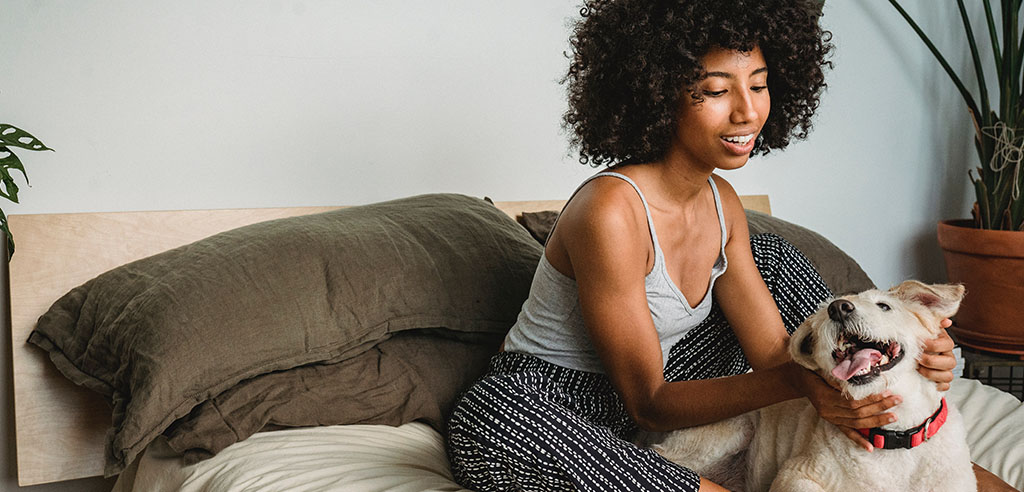 pet sitter gets paid to sleep