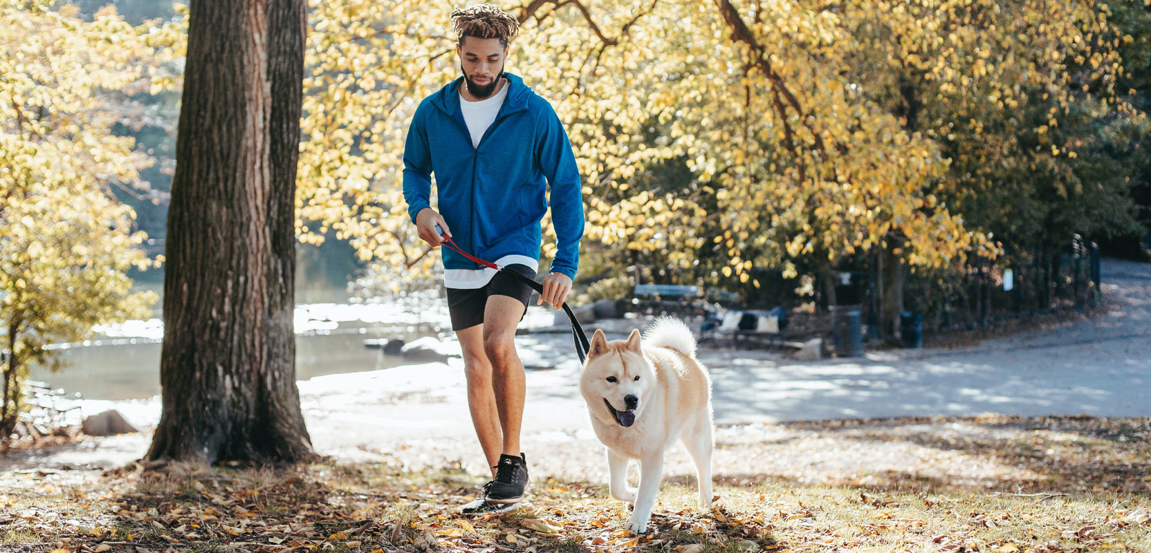 Man holding a dog on a leash next to a tree