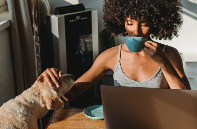 Freelance writer sitting at her laptop working on a project