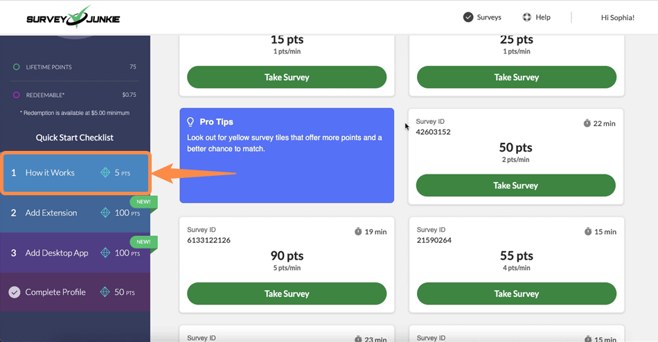 The “How it works” feature on the Survey Junkie desktop site.