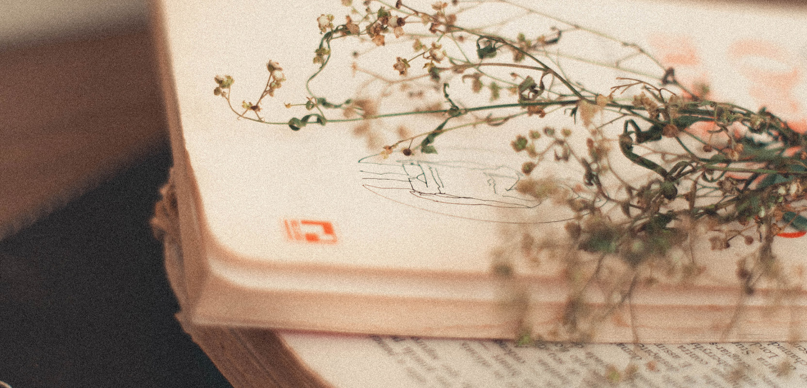 Notebook with dried flowers on it representing poetry or song lyrics