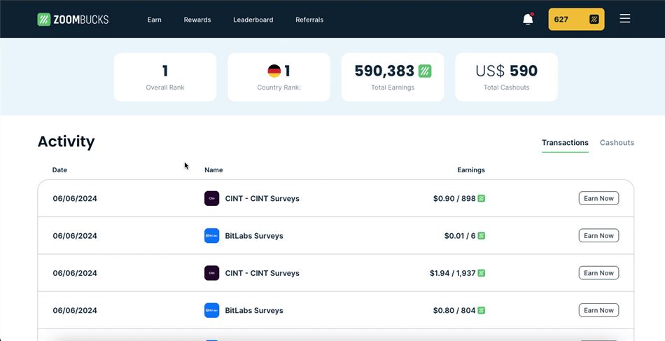 Viewing the account activity of Zoombucks’ highest earners.